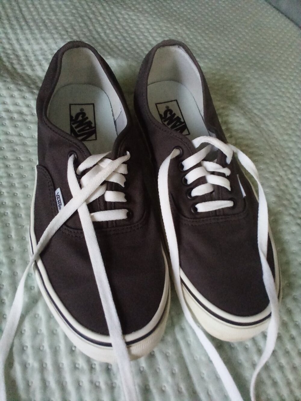 Vans Sneakerd